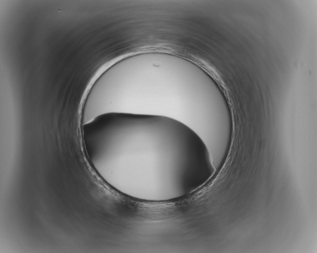 X0000108481200200904031113