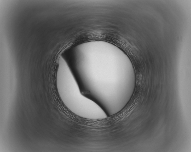 X0000108481201200904031112
