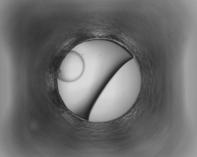 X0000108481205200904031112