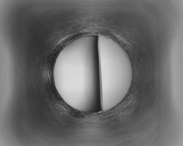 X0000108481206200904031112