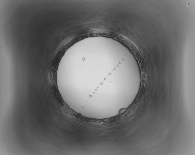 X0000108481207200904031112