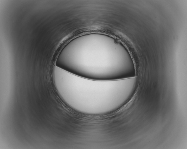 X0000108481210200904031113