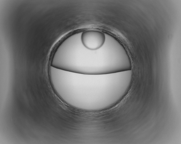 X0000108481216200904031113
