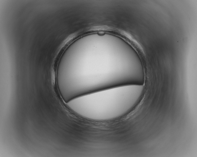 X0000108481221200904031113