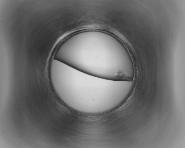 X0000108481222200904031113