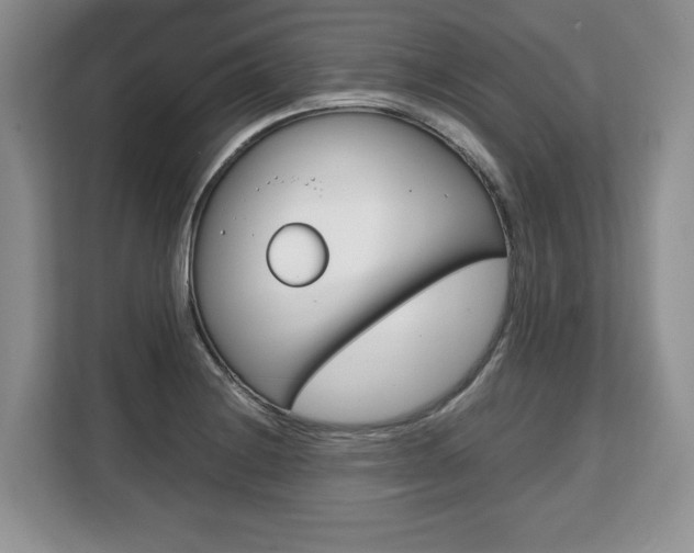 X0000108481228200904031113