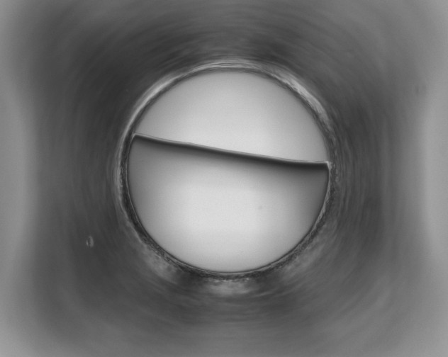 X0000108481229200904031113
