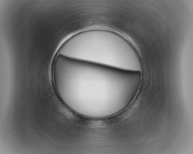 X0000108481230200904031113