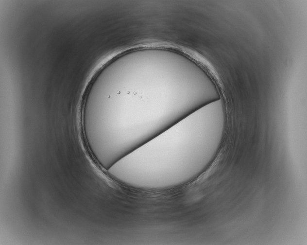 X0000108481231200904031113