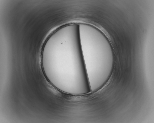 X0000108481232200904031113