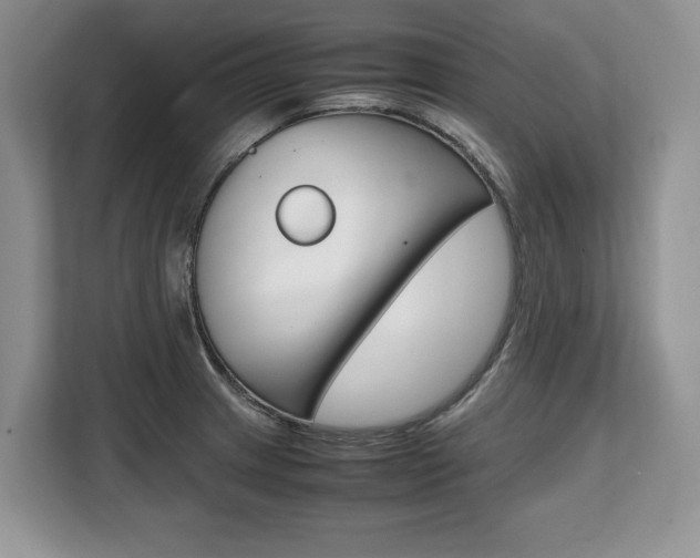 X0000108481233200904031113