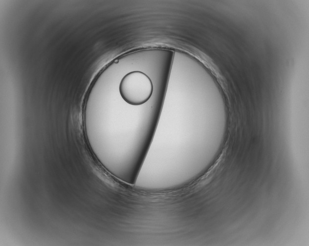X0000108481234200904031113