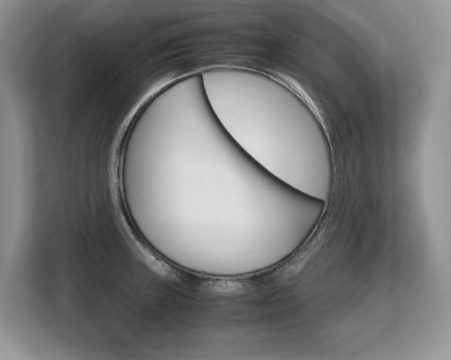 X0000108481235200904031113