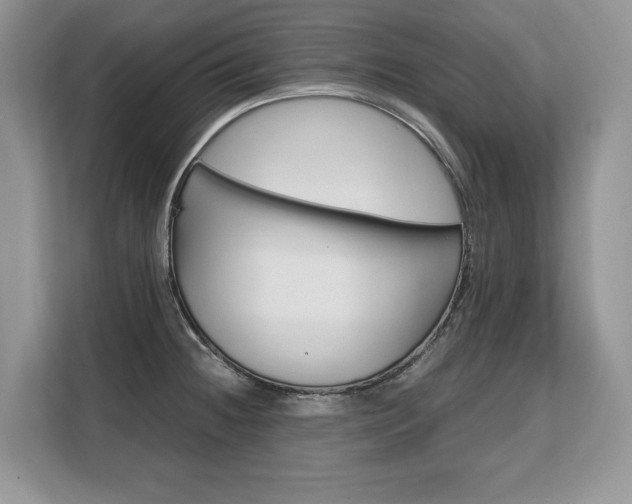 X0000108481236200904031113