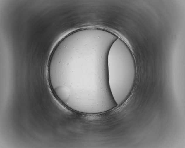 X0000108481239200904031113