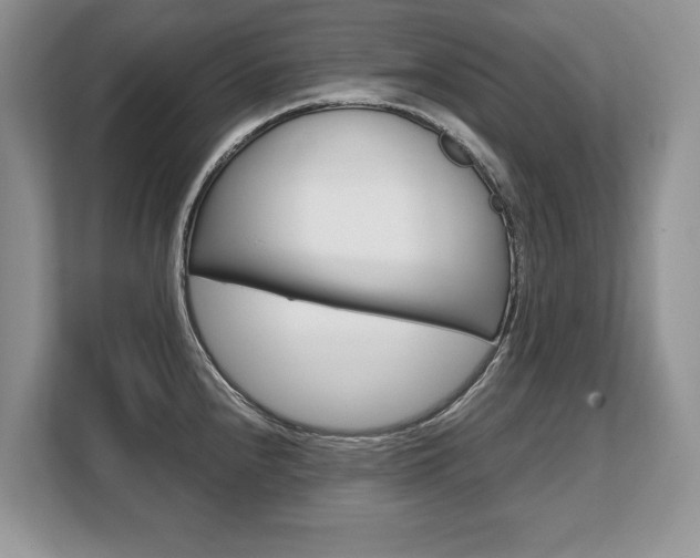 X0000108481240200904031113
