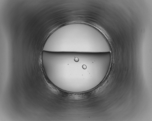 X0000108481241200904031113