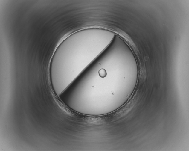 X0000108481242200904031113