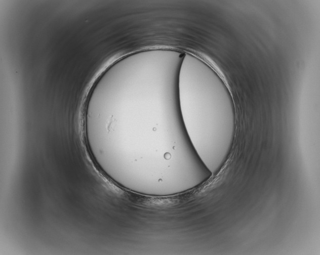 X0000108481243200904031113