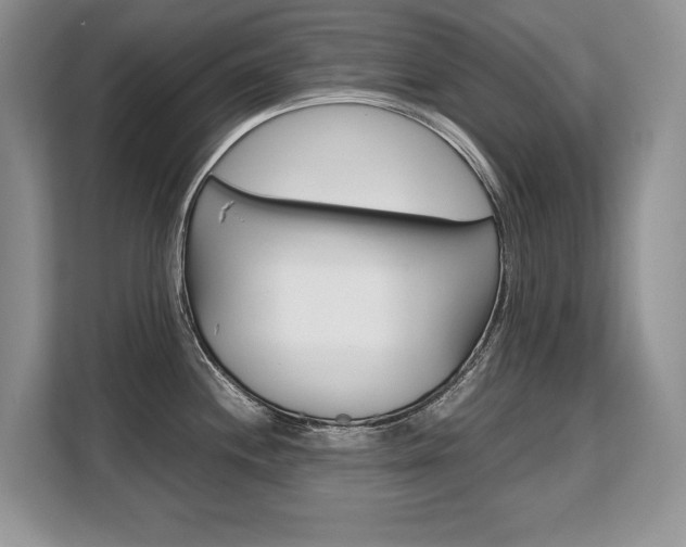 X0000108481244200904031113