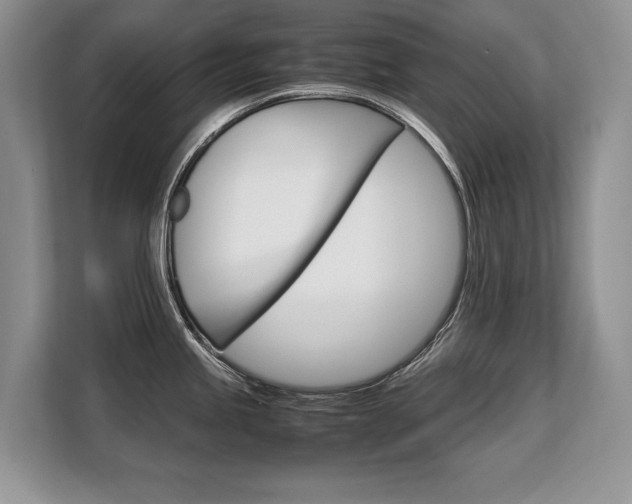 X0000108481245200904031113
