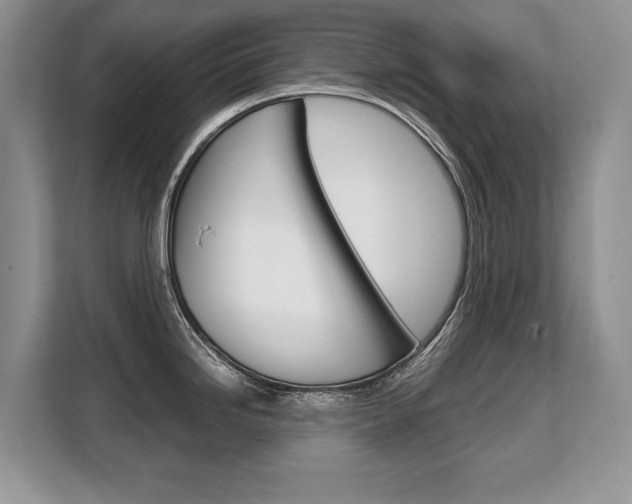 X0000108481246200904031113