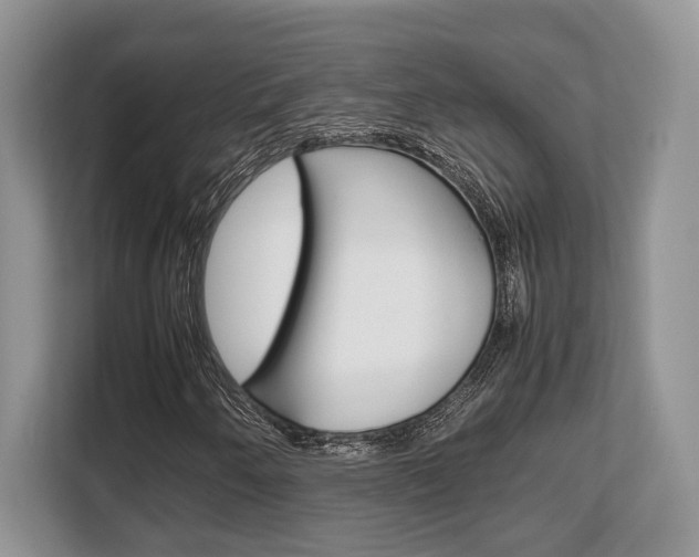 X0000108481250200904031112