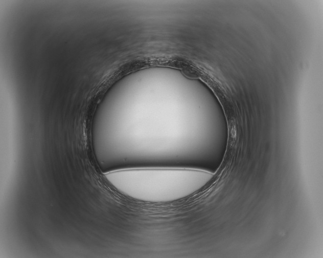 X0000108481252200904031112