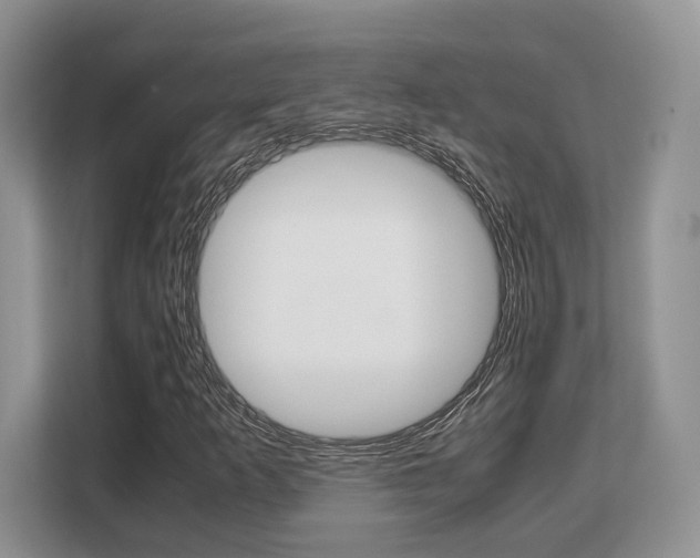 X0000108481253200904031112
