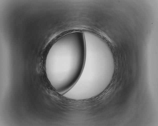X0000108481256200904031112