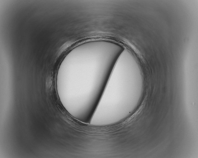 X0000108481259200904031112