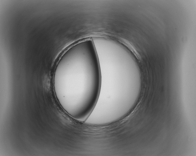 X0000108481260200904031112