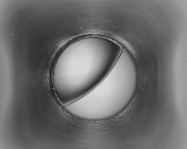 X0000108481264200904031112