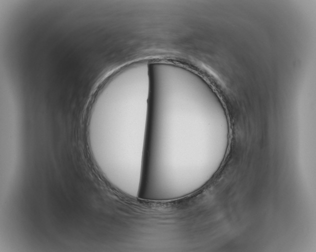 X0000108481267200904031112