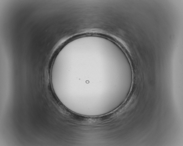 X0000108481271200904031112