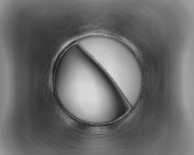 X0000108481272200904031112