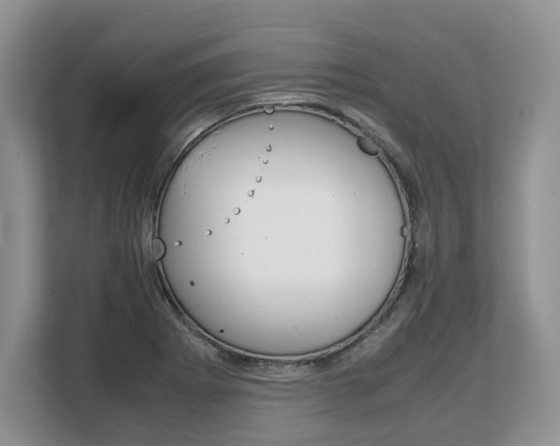 X0000108481273200904031112