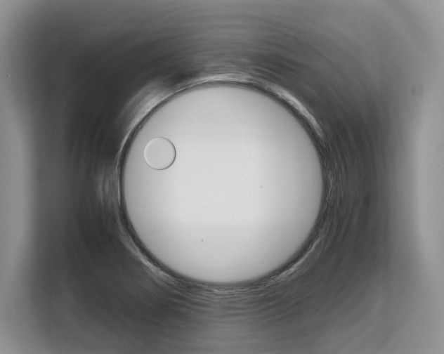X0000108481274200904031112