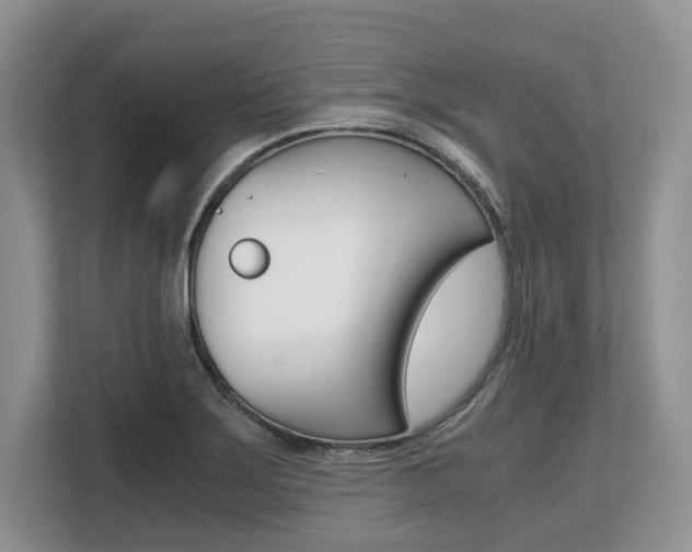 X0000108481275200904031112