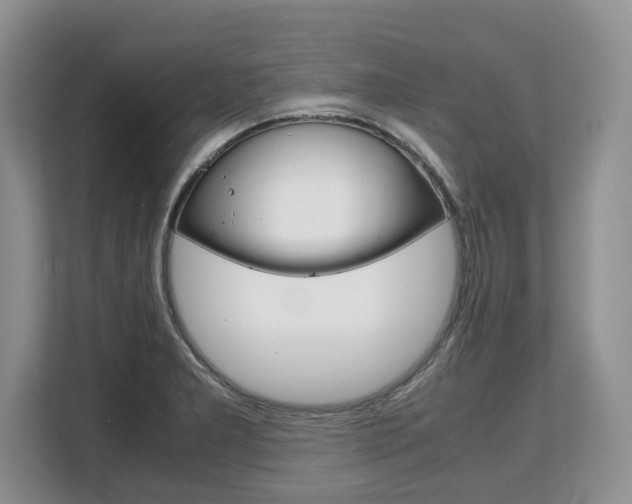 X0000108481277200904031112