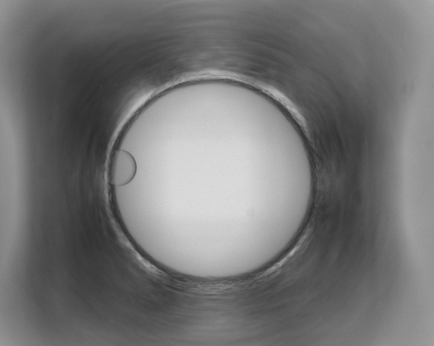 X0000108481278200904031112