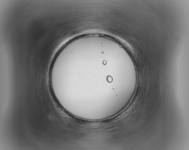 X0000108481279200904031112