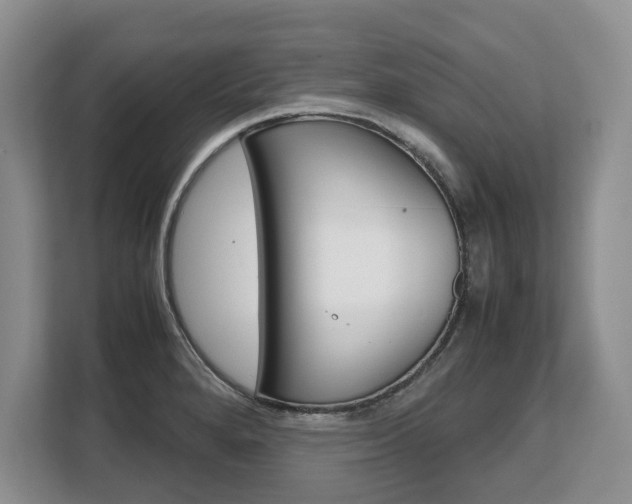 X0000108481280200904031112