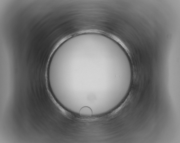 X0000108481282200904031112