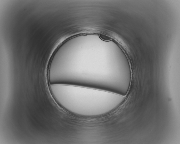 X0000108481283200904031112