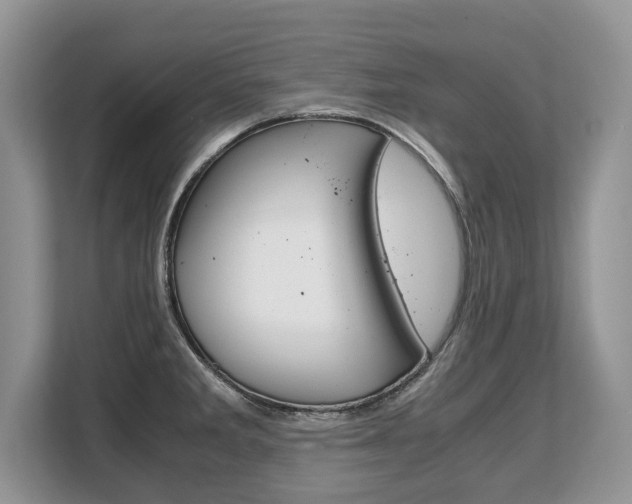 X0000108481285200904031112
