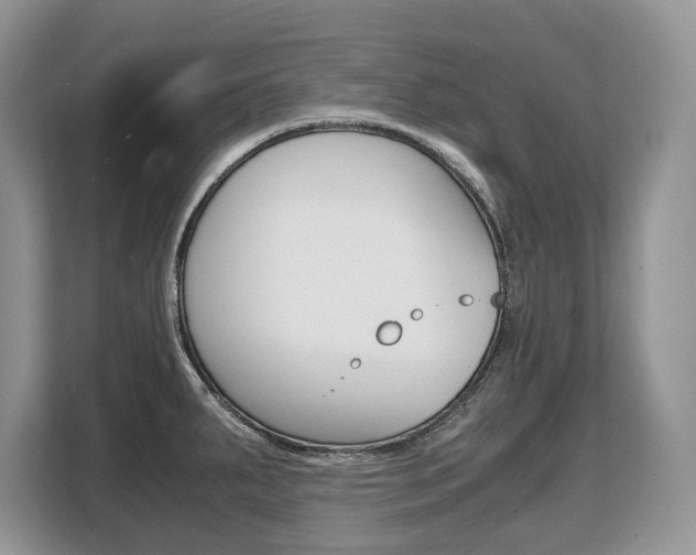 X0000108481287200904031112