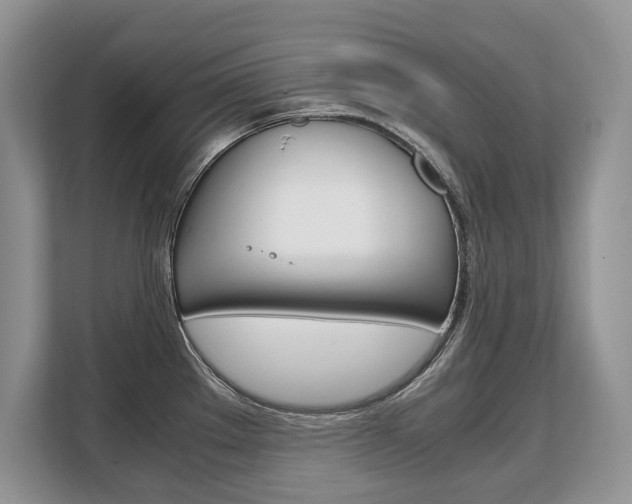 X0000108481289200904031112