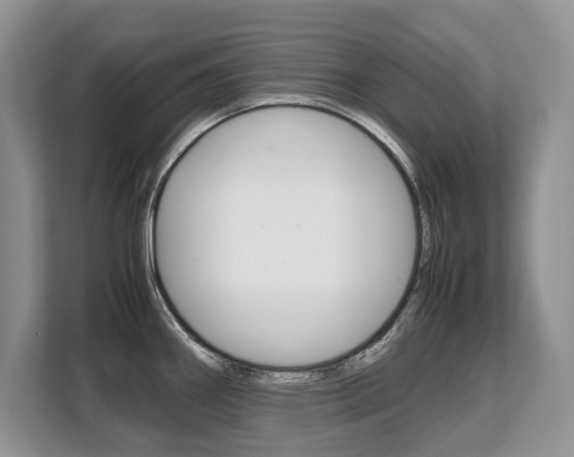 X0000108481290200904031112