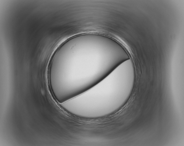 X0000108481291200904031112